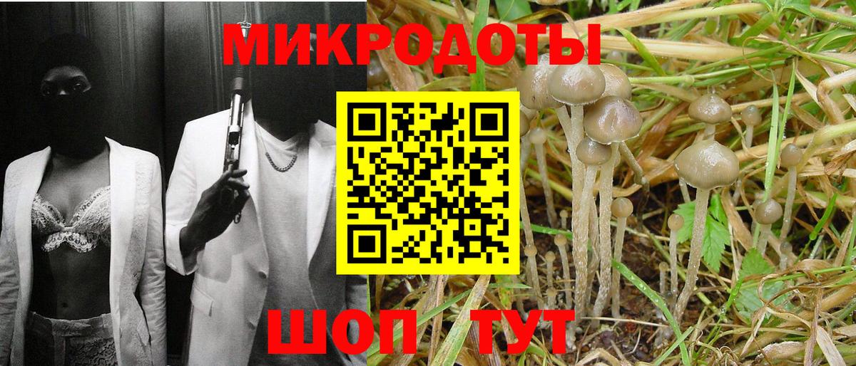 Галлюциногенные грибы MAGIC MUSHROOMS  Вход с VPN  Галлюциногенные грибы ЛСД  Красноярск 